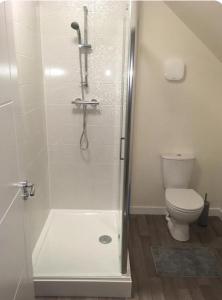een badkamer met douche en toilet bij NG Property in Glasgow