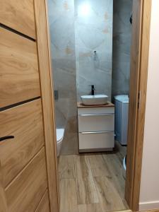 een badkamer met een wastafel en een toilet bij Apartamenty na Witosa in Nowa Sól