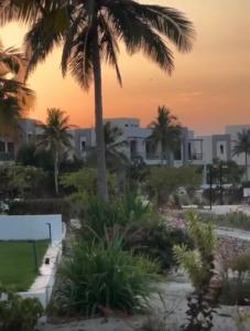 uitzicht op een resort bij zonsondergang met palmbomen bij منتجع هوانا غرفتين in Salalah