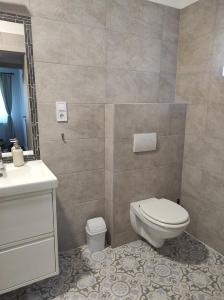 een badkamer met toilet en wastafel bij Garden Home in Törökbálint