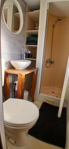 a bathroom with a toilet and a sink and a shower at Stacaravan op de paardenboerderij Sneek in Sneek