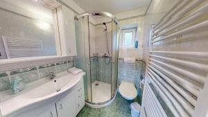 een badkamer met douche, wastafel en toilet bij Javorník 88 in Javorník +23 foto's