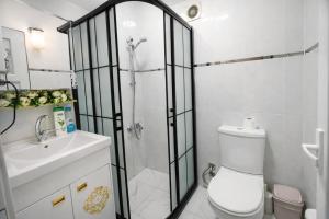 een badkamer met een douche, een toilet en een wastafel bij Sultanahmet Center View Apart Hotel in Istanbul +50 foto's