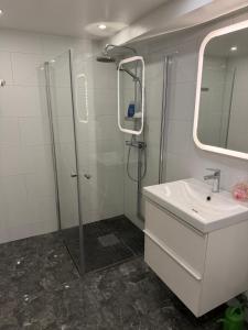 een badkamer met een douche en een wastafel bij Amazing cozy apartment 