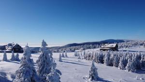 a snow covered forest of trees with houses in the background at Hotel Spindlerova Bouda in Špindlerův Mlýn +38 photos