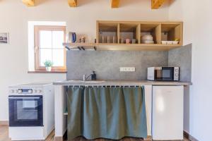 a kitchen with a counter with a sink and a microwave at Apartmány U Hešů in Horní Lipka