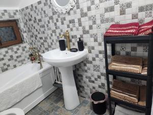 a bathroom with a sink and a bath tub and a sink at Cabana Maria in Olăreşti +19 photos