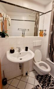 a bathroom with a sink and a toilet at Cozy and fully equipped flat in the centrum in Essen +4 photos