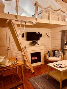 a room with a living room with a fireplace at Kaj's Cabin in Listerby