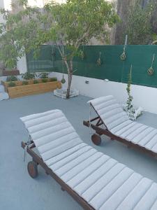 due panchine una accanto all'altra vicino a un albero di Vita vi a Afionas