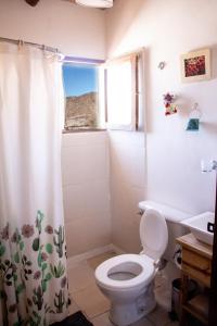 une salle de bain avec toilettes et rideau de douche dans l'établissement Cabaña Paraíso Cachi, à Cachí