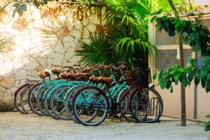 Fotografie z fotogalerie ubytování Teva Tulum, Aldea Zamá v destinaci Tulum