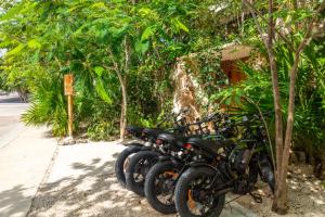 Fotografie z fotogalerie ubytování Teva Tulum, Aldea Zamá v destinaci Tulum + 195 fotografií