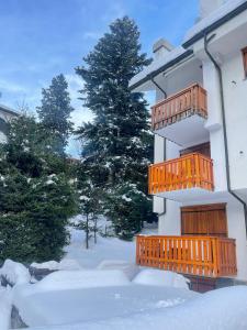 een gebouw met houten balkons in de sneeuw bij Il rifugio del Bianco in Courmayeur