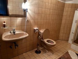 a bathroom with a toilet and a sink at Dortmund Brackel Wohnung in Dortmund