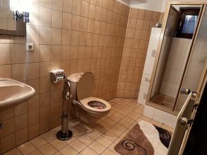 a bathroom with a toilet and a sink at Dortmund Brackel Wohnung in Dortmund