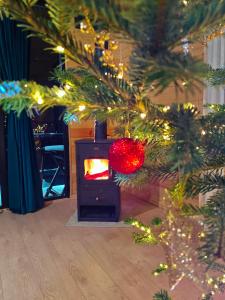 een kerstboom met een rode bal in een open haard bij Ushguli Highland Cottage in Ushguli