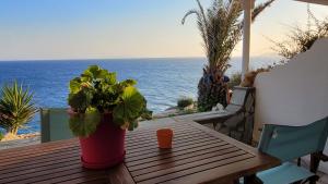 Afbeelding uit fotogalerij van Akrogiali studios in Donoussa