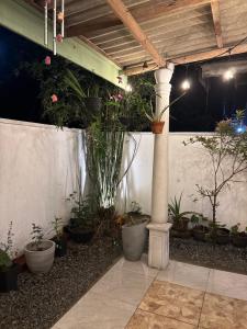 an outdoor patio with potted plants and a column at lakshi's place in Ambalangoda