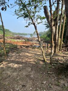 a dirt road with trees and a body of water at lakshi's place in Ambalangoda