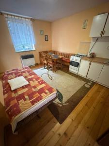 een keuken en eetkamer met een bed en een tafel bij Privat DAŇO in Lisková