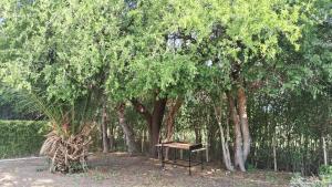 Foto dalla galleria di Lo de la Abu a Villa Las Rosas