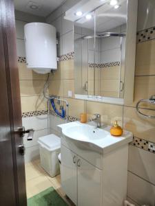 Et badeværelse på Alex apartman