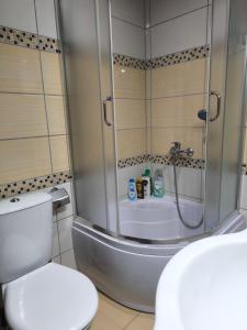 Et badeværelse på Alex apartman + 8 billeder