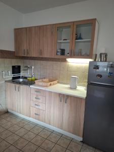 a kitchen with wooden cabinets and a stainless steel refrigerator at Nature Nest Više Selo in Blace