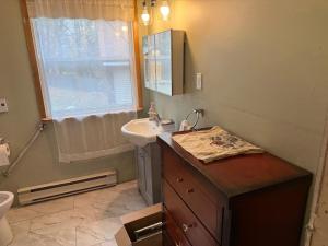 een badkamer met een wastafel en een toilet bij A fully self-contained one-bedroom apartment in Fredericton