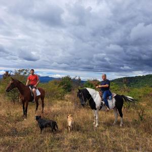 two people riding horses in a field with dogs at Nature Nest Više Selo in Blace