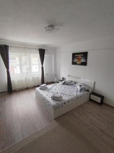 ein Schlafzimmer mit einem Bett und einem großen Fenster in der Unterkunft Apartament Alessi Home in Călimăneşti