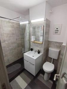 ein Badezimmer mit weißer Toilette und Dusche in der Unterkunft Apartament Alessi Home in Călimăneşti + 1 Foto