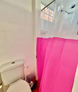 a bathroom with a pink shower curtain and a toilet at BriSa Do Mar < Flecta Matinhos in Matinhos