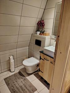 een badkamer met toilet en wastafel bij Vikendica Vista in Vrdnik