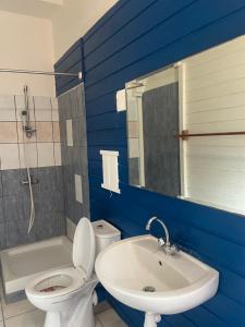 a bathroom with a white toilet and a sink at Cocon Douillet à 10 min du Marin in Le Marin