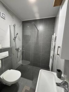 a bathroom with a shower and a toilet and a sink at Apartman S52 City Centre in Doboj