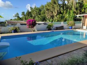 ein Swimmingpool mit blauem Wasser in einem Hof in der Unterkunft mahinas lodge in Mahina