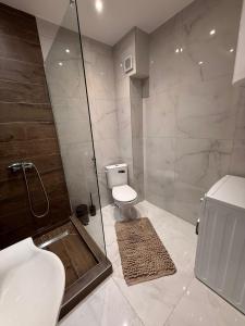 ObrenovacHil Obrenovac的带淋浴、马桶和水槽的浴室