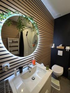 een badkamer met een wastafel en een spiegel en een toilet bij Sauna en bord de rivière in Morez +4 foto's