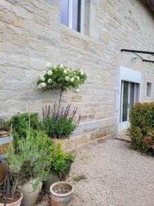 eine Backsteinmauer mit Topfpflanzen neben einem Gebäude in der Unterkunft Le Four à Pains in Dole