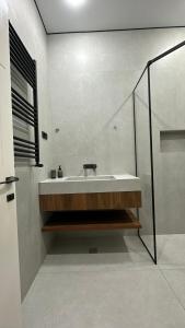 un bagno con lavandino e doccia di Kenac Lerner Dilijan a Dilijan