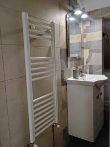 een badkamer met een wastafel en een spiegel bij Riverside in Valjevo +10 foto's
