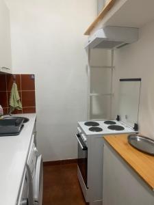 una piccola cucina con fornelli e lavello di Apartman Fantazija a Vrbas