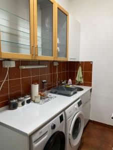 una cucina con lavatrice e lavandino di Apartman Fantazija a Vrbas