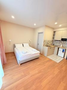 a large bedroom with a bed and a kitchen at Cosy City-View Flat in Mtatsminda, flat 6 in Itʼkhvisi