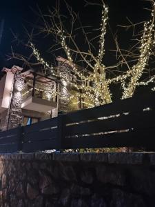 a fence in front of a building with christmas lights at Ξενώνας Αγανίππη 
