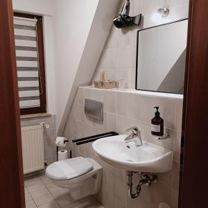a bathroom with a sink and a toilet and a mirror at Urban Apple in Bad Mergentheim