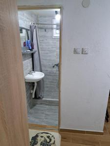 ein Badezimmer mit Dusche und Waschbecken in der Unterkunft Hostel Lalinac in Niš