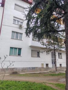 een wit gebouw met een boom ervoor bij Signorina in Sajmište